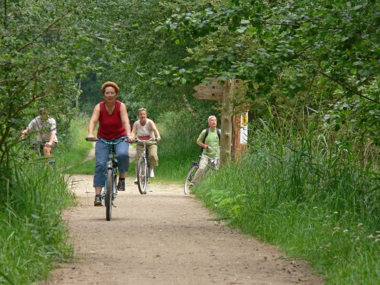 Radfahren im Müritz-Nationalpark (Foto: NP Müritz / Nationalparkamt Müritz)